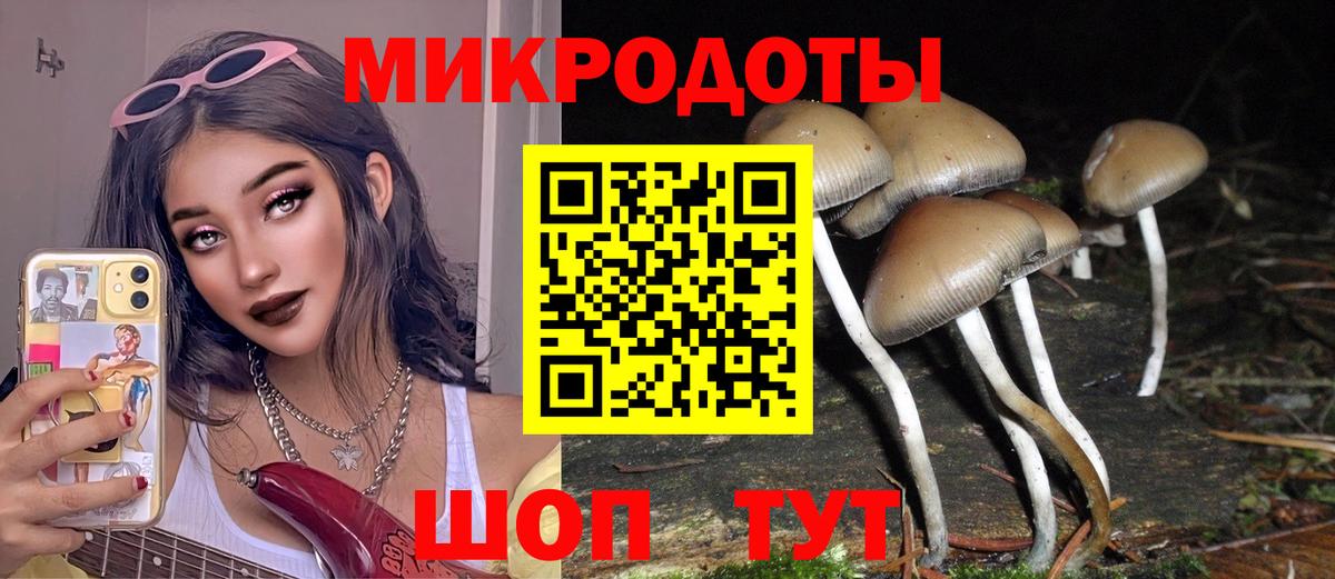 Новомосковск  Псилоцибиновые грибы Psilocybine cubensis  Вход с VPN 