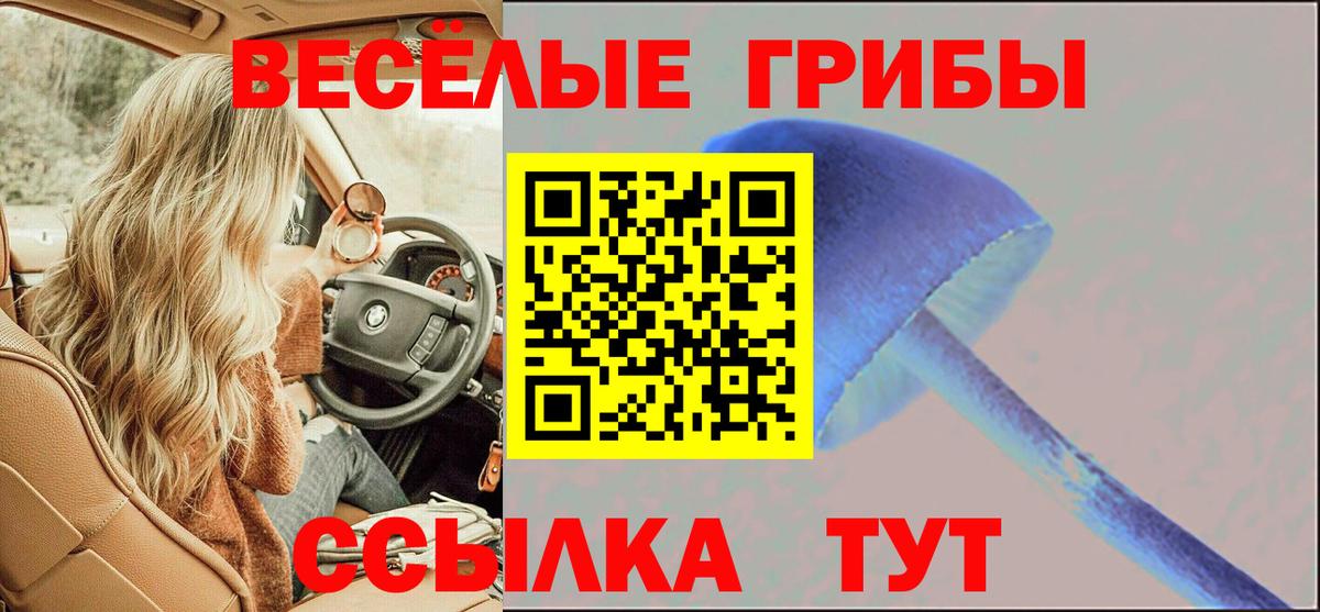Псилоцибиновые грибы Psilocybe Новомосковск